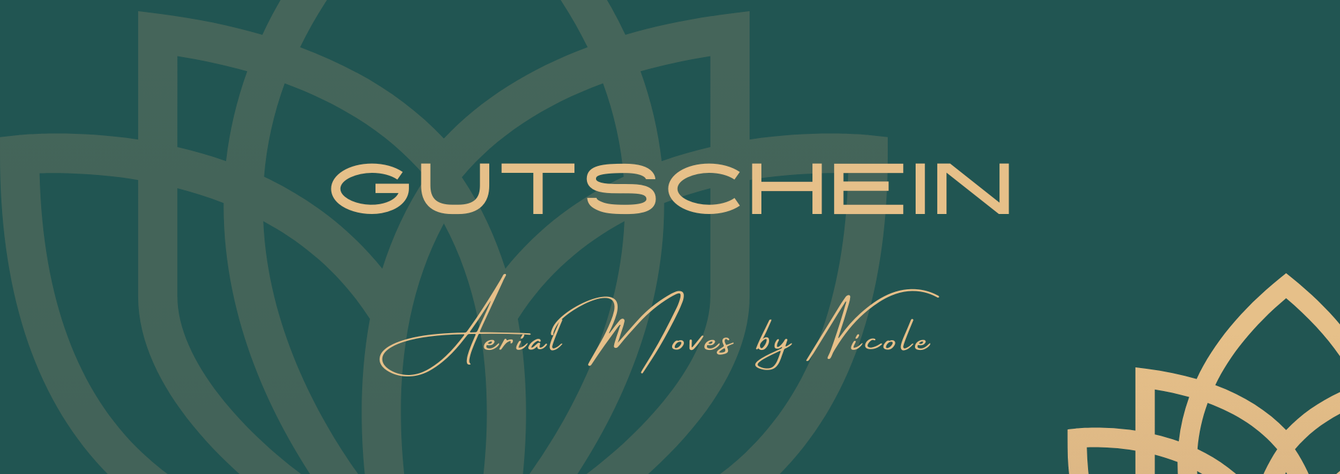 Gutschein von Aerial Move